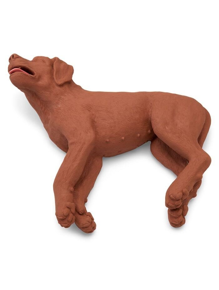 CasPeR el perro RCP Simulaids® - Imagen 2