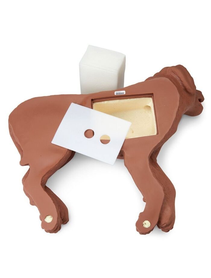 CasPeR el perro RCP Simulaids® - Imagen 3
