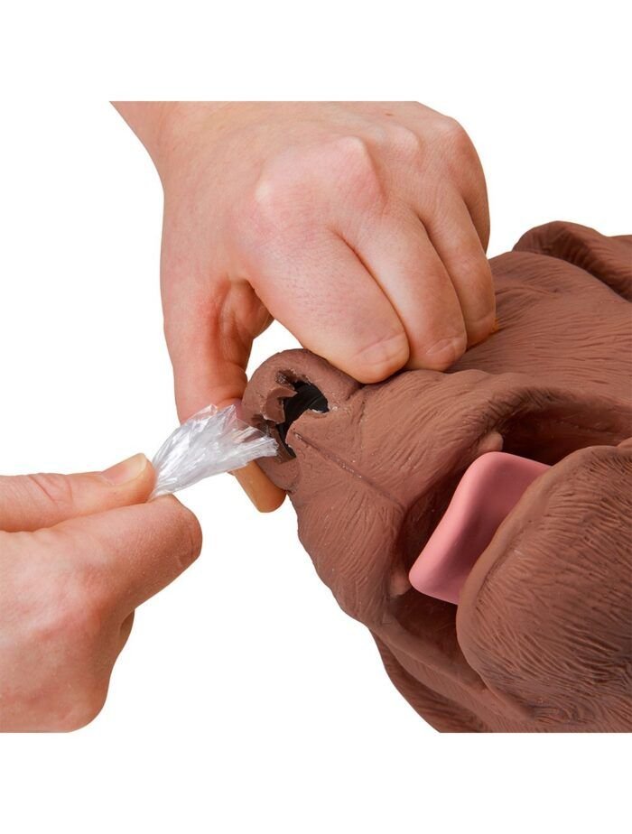 CasPeR el perro RCP Simulaids® - Imagen 5