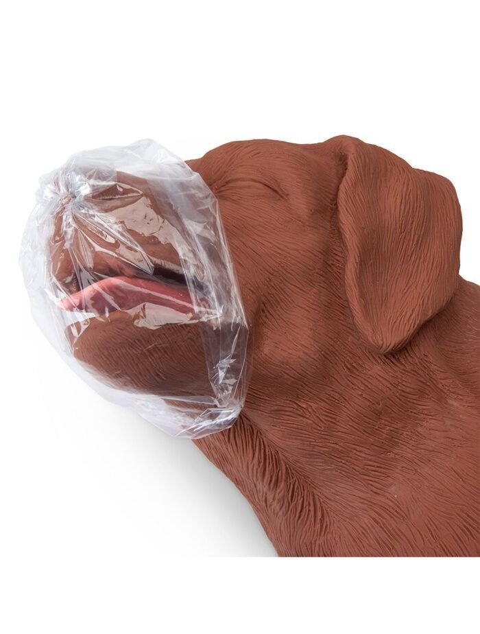 CasPeR el perro RCP Simulaids® - Imagen 7