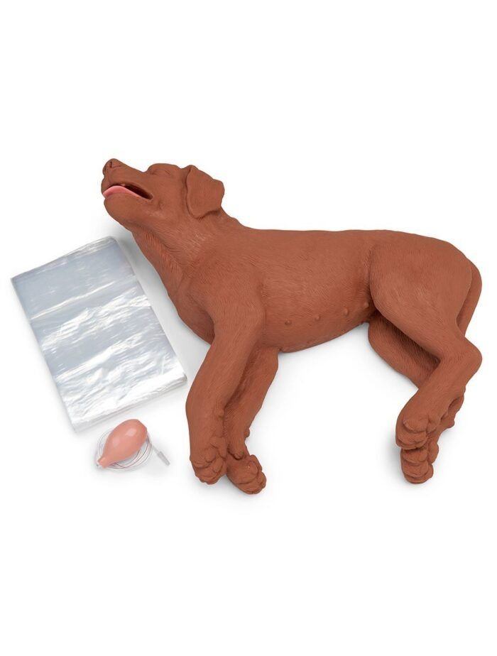 CasPeR el perro RCP Simulaids®