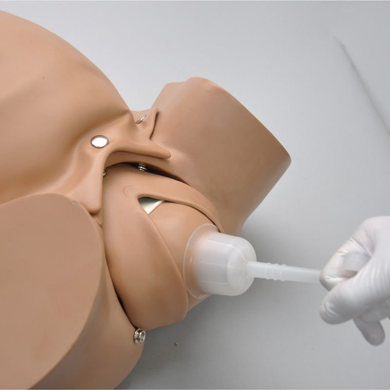 Gaumard® OB Susie® Torso de entrenamiento avanzado de habilidades de parto - Imagen 3