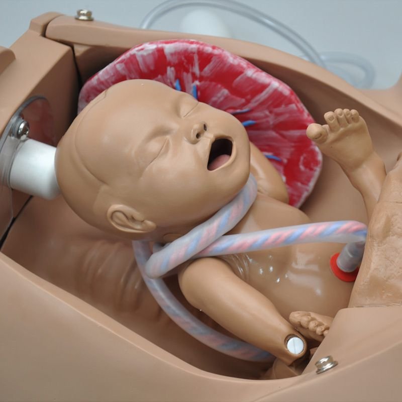 Gaumard® OB Susie® Torso de entrenamiento avanzado de habilidades de parto - Imagen 4