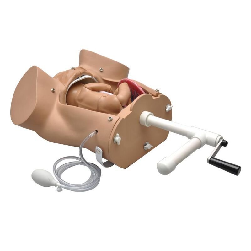 Gaumard® OB Susie® Torso de entrenamiento avanzado de habilidades de parto