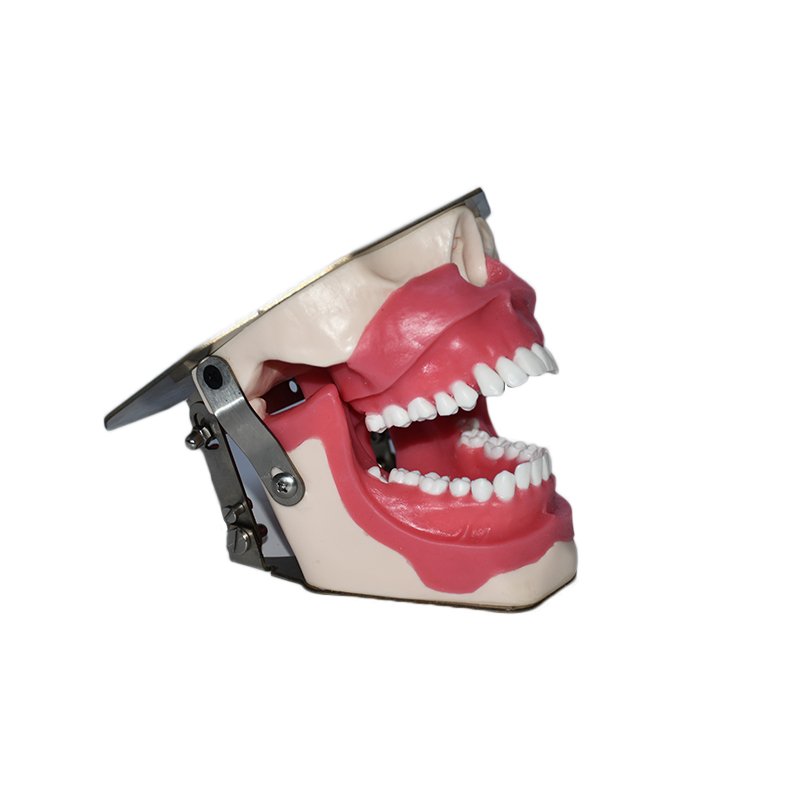 Simulación Odontológica