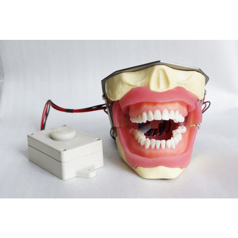 Modelo de extracción de anestesia con Zumbador