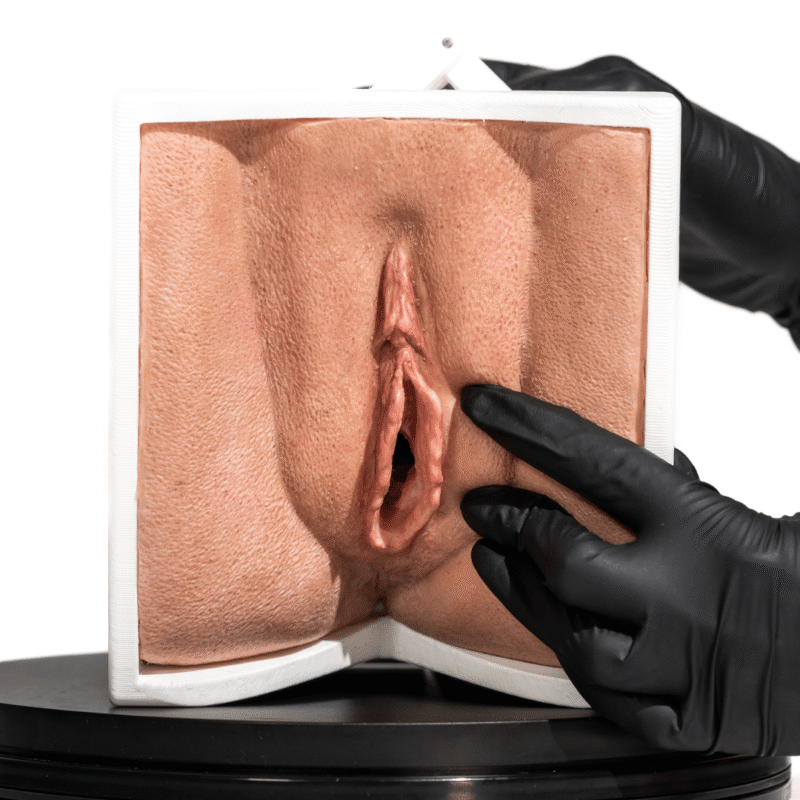 Simulador de Vagina con apertura