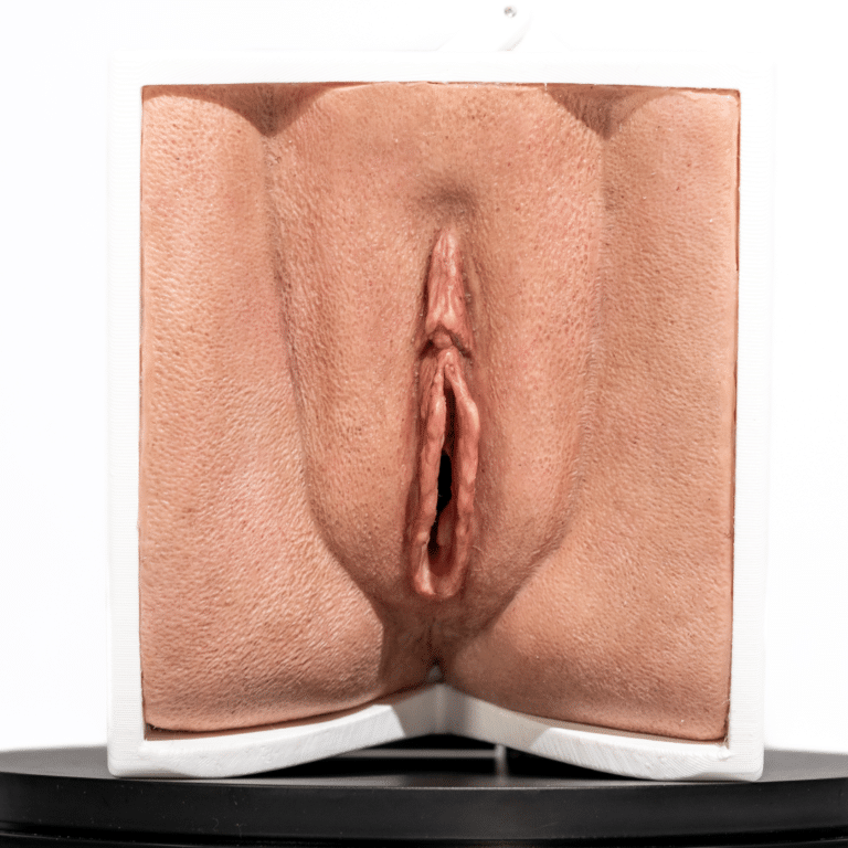 Simulador de Vagina con apertura - Imagen 3